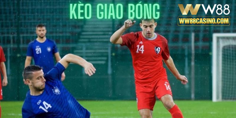 Kèo giao bóng W88 có lối chơi độc đáo và cơ hội thắng cược cao Kèo giao bóng W88 có lối chơi độc đáo và cơ hội thắng cược cao