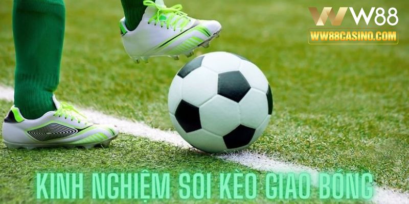 Khám phá những kinh nghiệm hữu ích về cược giao bóng tại W88 Khám phá những kinh nghiệm hữu ích về cược giao bóng tại W88